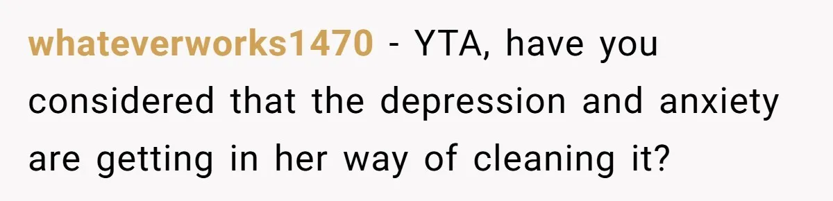 whateverworks1470 − YTA, have you considered that the depression and anxiety are getting in her way of cleaning it?