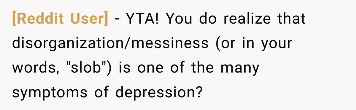 [Reddit User] − YTA! You do realize that disorganization/messiness (or in your words, "slob") is one of the many symptoms of depression?