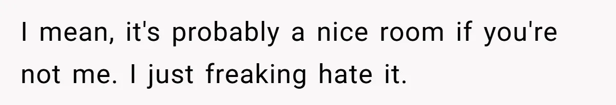 I mean, it's probably a nice room if you're not me. I just freaking hate it.