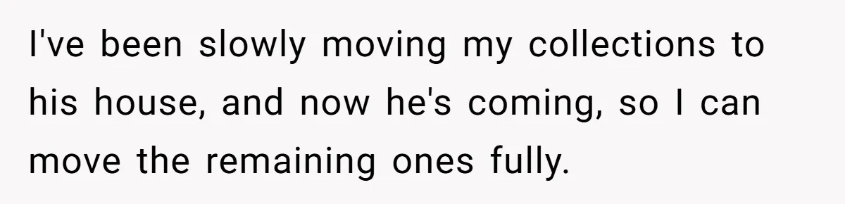 I've been slowly moving my collections to his house, and now he's coming, so I can move the remaining ones fully.