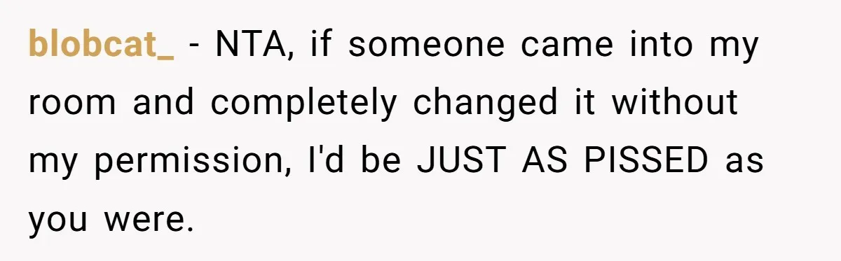 blobcat_ − NTA, if someone came into my room and completely changed it without my permission, I'd be JUST AS PISSED as you were.