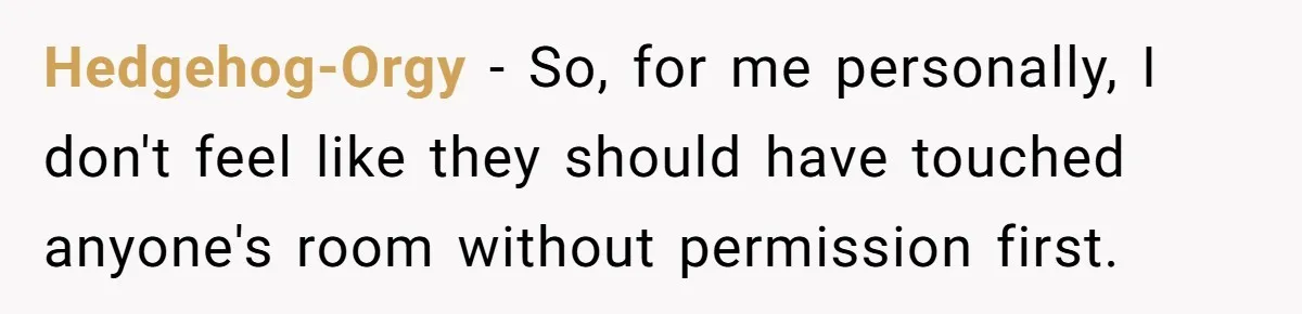 Hedgehog-Orgy − So, for me personally, I don't feel like they should have touched anyone's room without permission first.