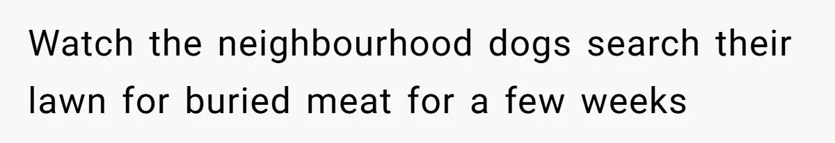 Watch the neighbourhood dogs search their lawn for buried meat for a few weeks