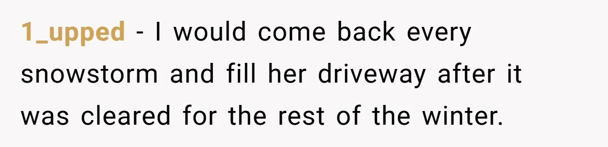 1_upped − I would come back every snowstorm and fill her driveway after it was cleared for the rest of the winter.