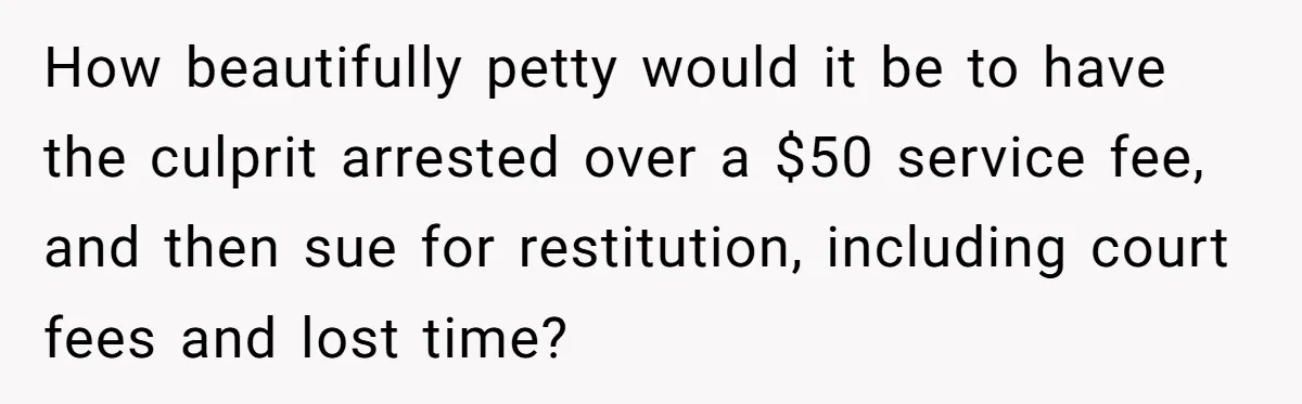 How beautifully petty would it be to have the culprit arrested over a $50 service fee, and then sue for restitution, including court fees and lost time?