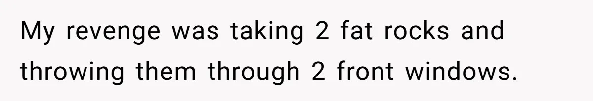 My revenge was taking 2 fat rocks and throwing them through 2 front windows.