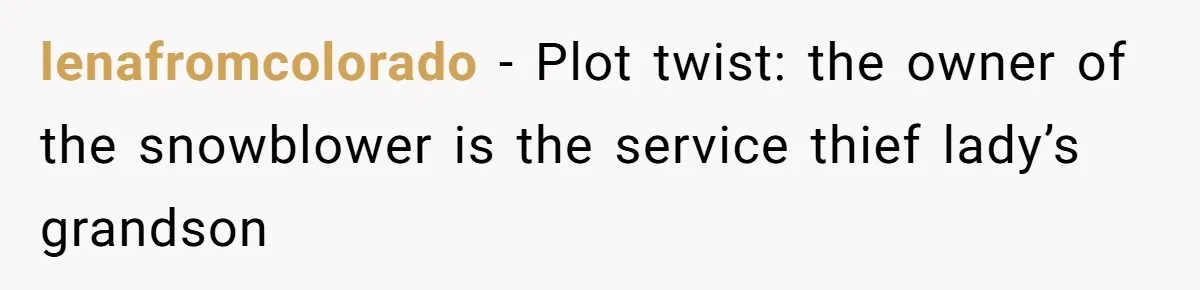 lenafromcolorado − Plot twist: the owner of the snowblower is the service thief lady’s grandson