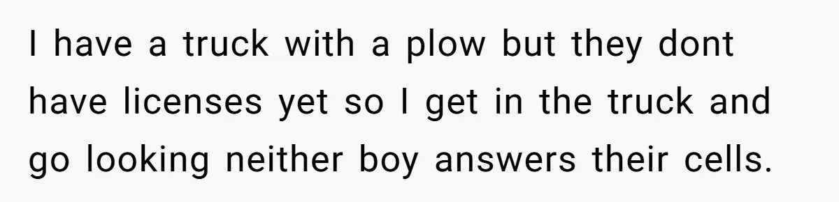 I have a truck with a plow but they dont have licenses yet so I get in the truck and go looking neither boy answers their cells.