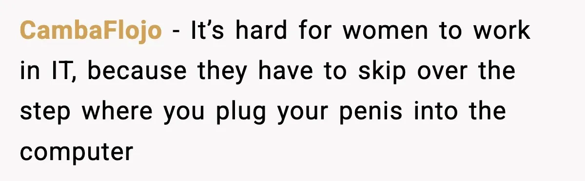 CambaFlojo - It’s hard for women to work in IT, because they have to skip over the step where you plug your penis into the computer