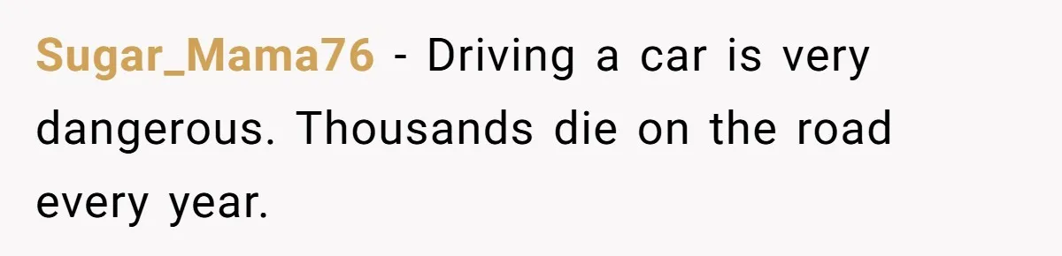 Sugar_Mama76 − Driving a car is very dangerous. Thousands die on the road every year.