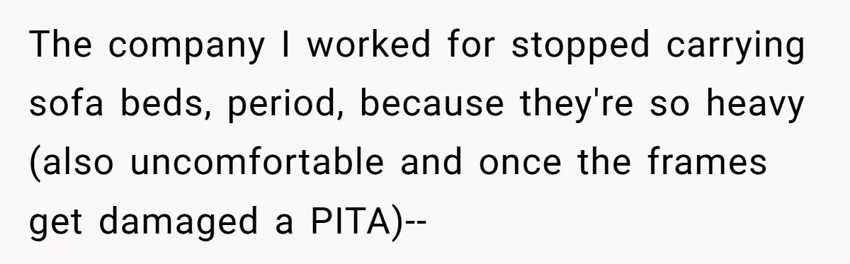 The company I worked for stopped carrying sofa beds, period, because they're so heavy (also uncomfortable and once the frames get damaged a PITA)--