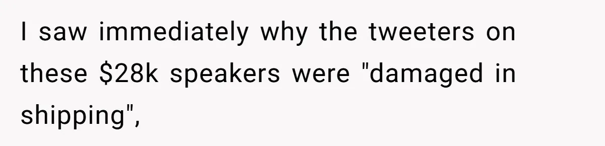 I saw immediately why the tweeters on these $28k speakers were "damaged in shipping",