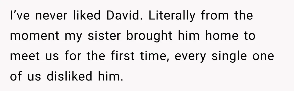 I’ve never liked David. Literally from the moment my sister brought him home to meet us for the first time, every single one of us disliked him.
