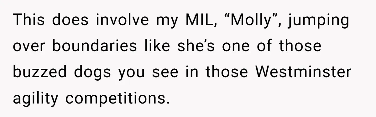 This does involve my MIL, “Molly”, jumping over boundaries like she’s one of those buzzed dogs you see in those Westminster agility competitions.