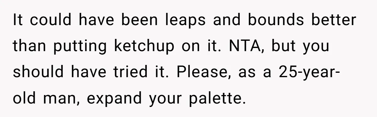 It could have been leaps and bounds better than putting ketchup on it. NTA, but you should have tried it. Please, as a 25-year-old man, expand your palette.