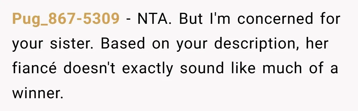 Pug_867-5309 − NTA. But I'm concerned for your sister. Based on your description, her fiancé doesn't exactly sound like much of a winner.