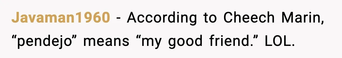 Javaman1960 - According to Cheech Marin, “pendejo” means “my good friend.” LOL.