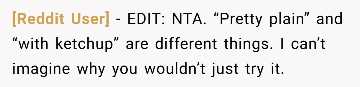 [Reddit User] − EDIT: NTA. “Pretty plain” and “with ketchup” are different things. I can’t imagine why you wouldn’t just try it.