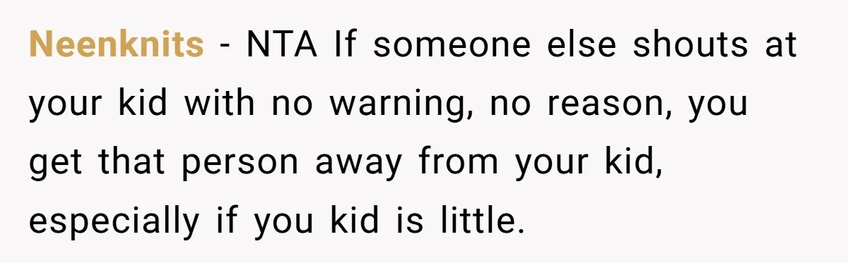 A Man's '30 Seconds of Bad Judgment' Gets His Family Uninvited from Christmas Neenknits - NTA If someone else shouts at your kid with no warning, no reason, you get that person away from your kid, especially if you kid is little.