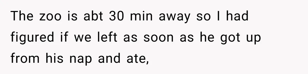 The zoo is abt 30 min away so I had figured if we left as soon as he got up from his nap and ate,