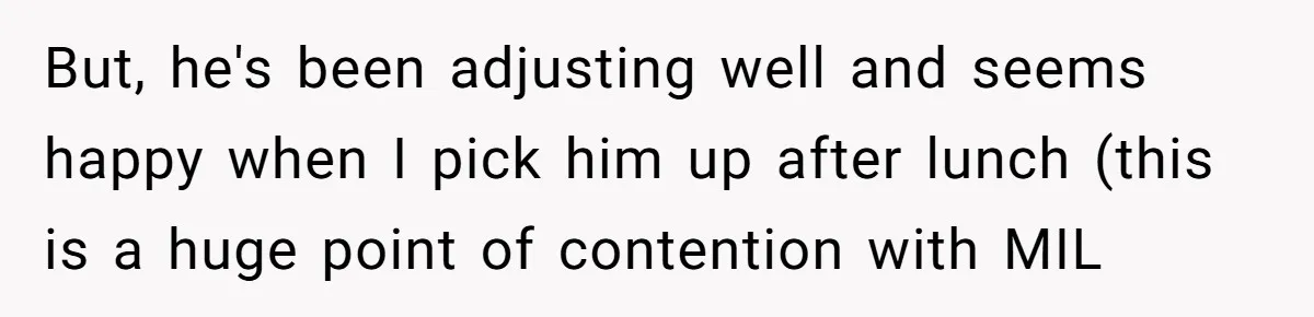 But, he's been adjusting well and seems happy when I pick him up after lunch (this is a huge point of contention with MIL
