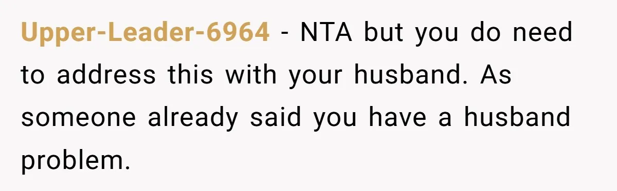Upper-Leader-6964 − NTA but you do need to address this with your husband. As someone already said you have a husband problem.