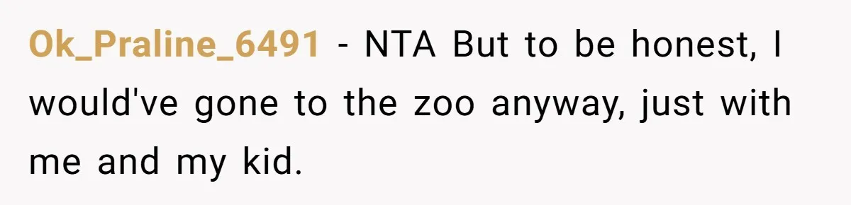 Ok_Praline_6491 − NTA But to be honest, I would've gone to the zoo anyway, just with me and my kid.