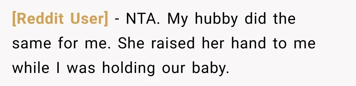[Reddit User] - NTA. My hubby did the same for me. She raised her hand to me while I was holding our baby.