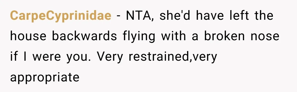 CarpeCyprinidae - NTA, she'd have left the house backwards flying with a broken nose if I were you. Very restrained,very appropriate