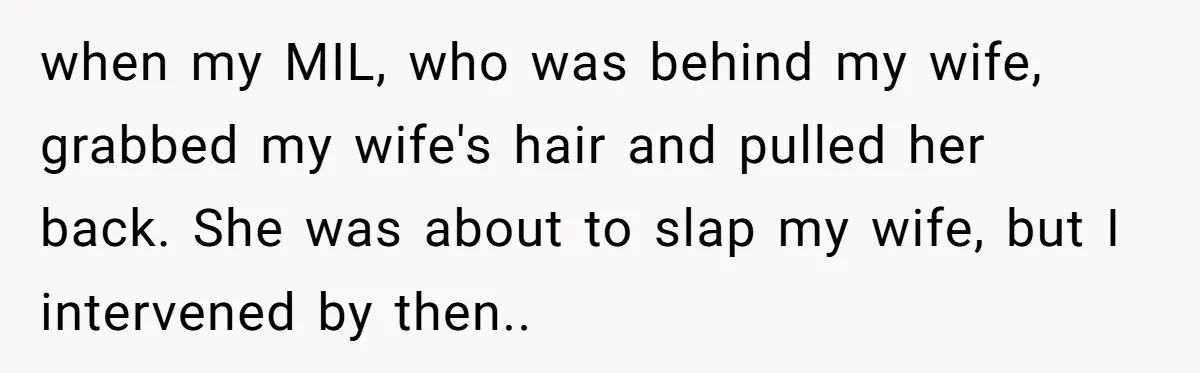 when my MIL, who was behind my wife, grabbed my wife's hair and pulled her back. She was about to slap my wife, but I intervened by then..