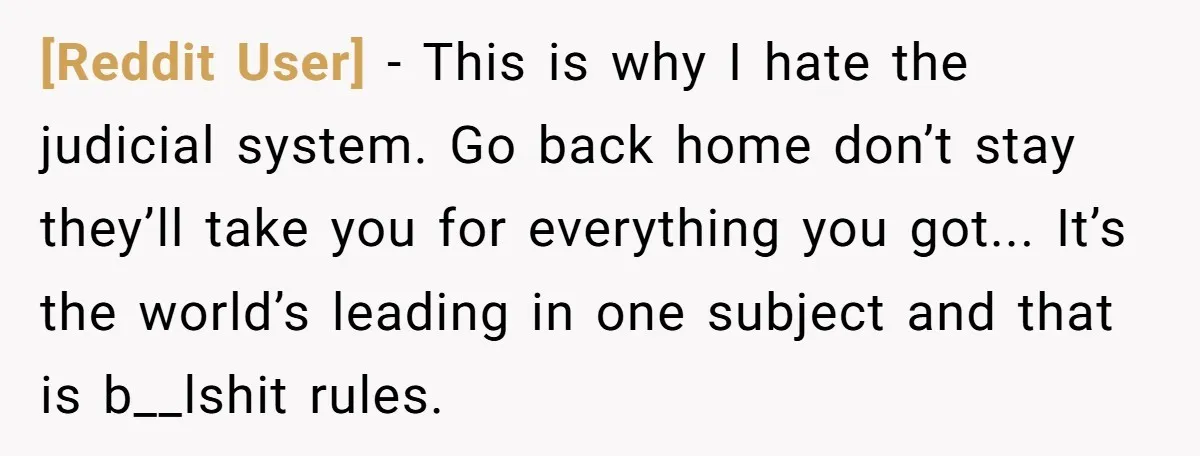 [Reddit User] - This is why I hate the judicial system. Go back home don’t stay they’ll take you for everything you got... It’s the world’s leading in one subject...