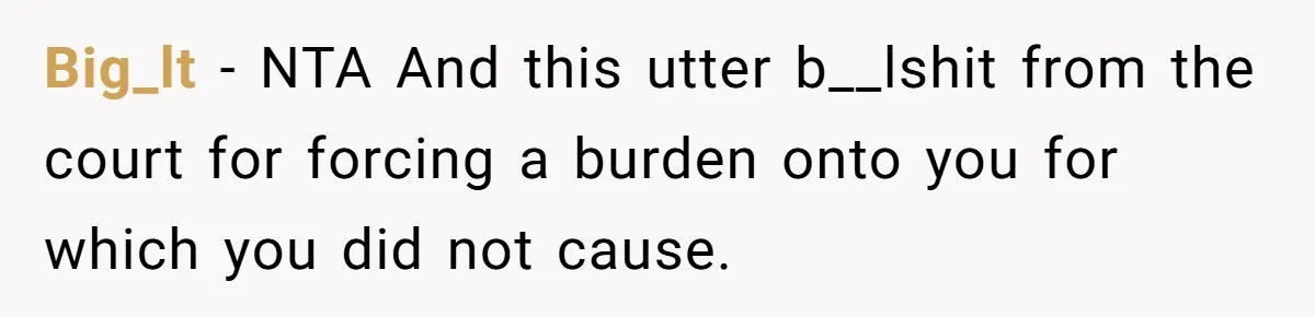 Big_lt - NTA And this utter b__lshit from the court for forcing a burden onto you for which you did not cause.