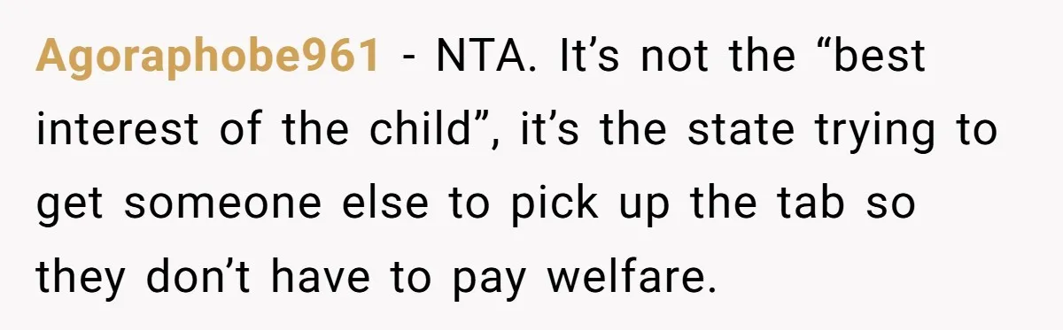 Agoraphobe961 - NTA. It’s not the “best interest of the child”, it’s the state trying to get someone else to pick up the tab so they don’t have to pay...