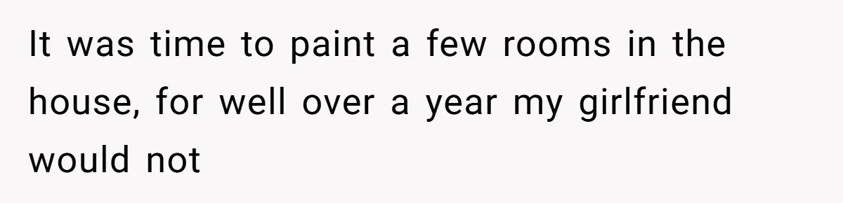 It was time to paint a few rooms in the house, for well over a year my girlfriend would not