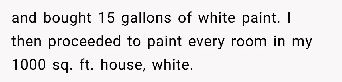 and bought 15 gallons of white paint. I then proceeded to paint every room in my 1000 sq. ft. house, white.
