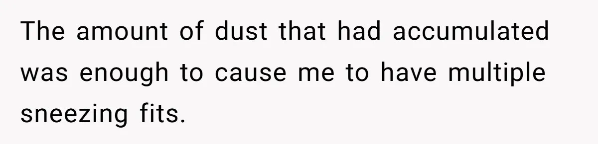 The amount of dust that had accumulated was enough to cause me to have multiple sneezing fits.