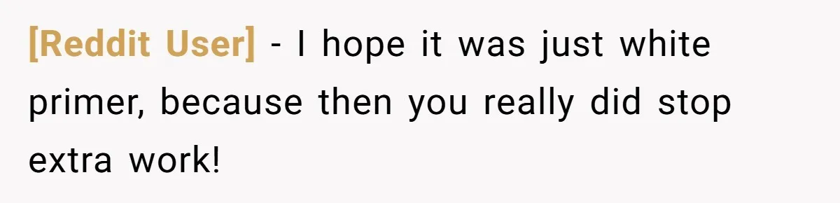 [Reddit User] − I hope it was just white primer, because then you really did stop extra work!