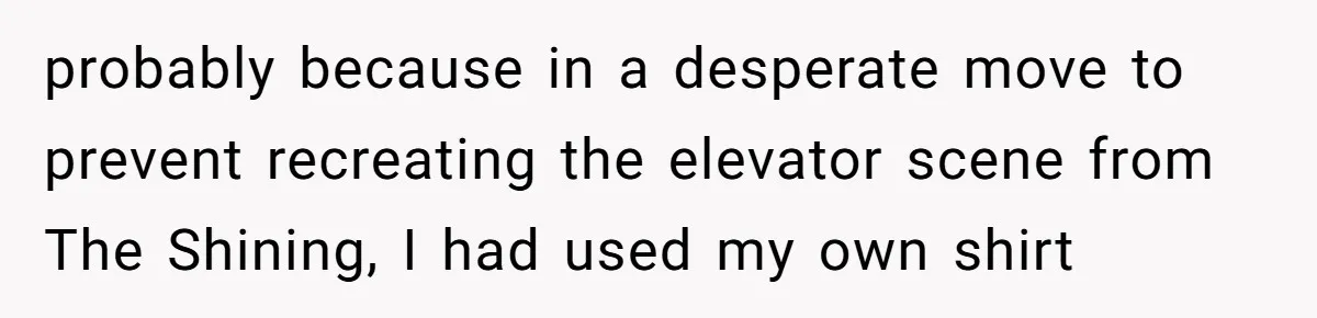 probably because in a desperate move to prevent recreating the elevator scene from The Shining, I had used my own shirt