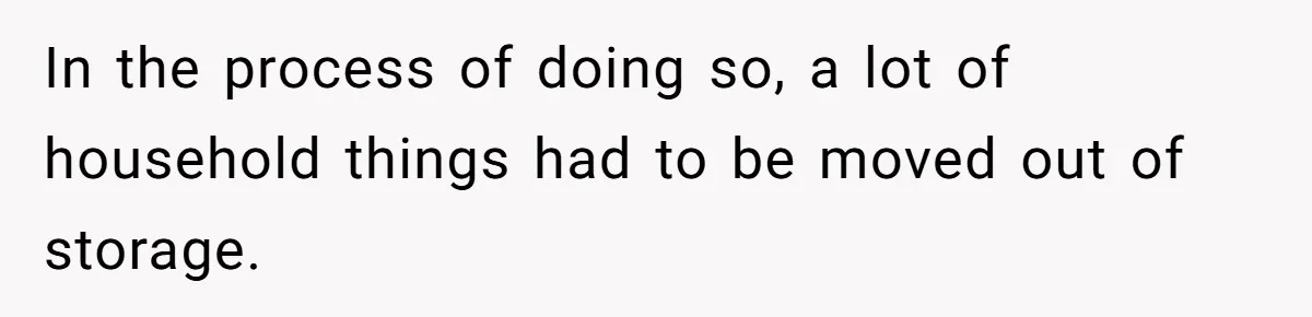 In the process of doing so, a lot of household things had to be moved out of storage.