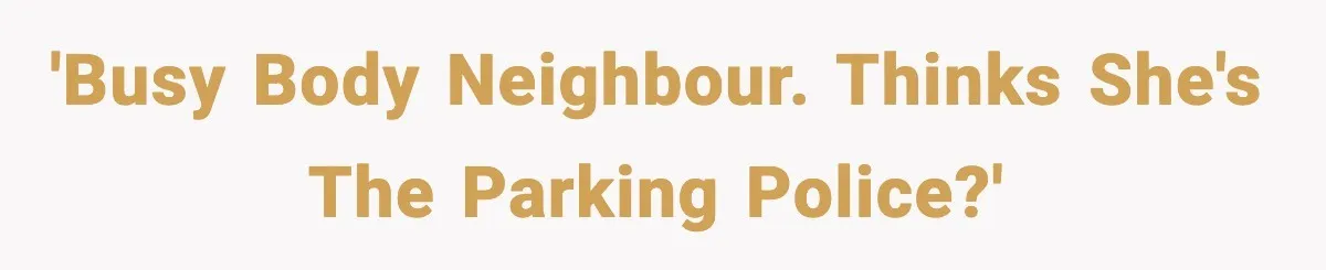 'Busy body neighbour. Thinks she's the parking police?'
