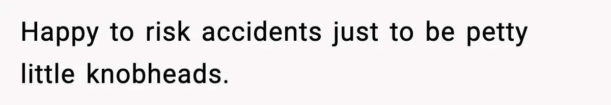 Happy to risk accidents just to be petty little knobheads.