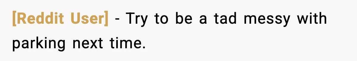 [Reddit User] − Try to be a tad messy with parking next time.