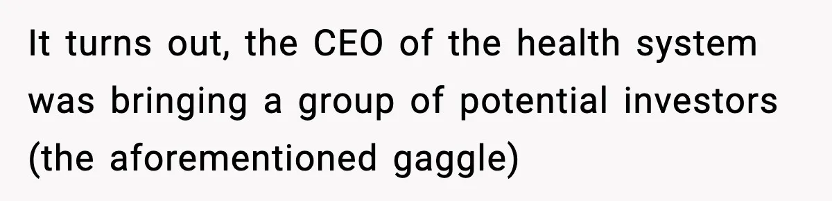 It turns out, the CEO of the health system was bringing a group of potential investors (the aforementioned gaggle)