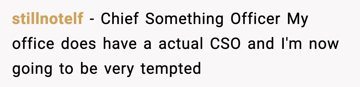 stillnotelf − Chief Something Officer My office does have a actual CSO and I'm now going to be very tempted