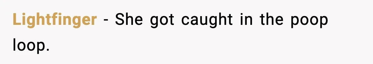 Traveler With Stomach Trouble Makes Seat Thief Rethink Her Choices Lightfinger - She got caught in the poop loop.