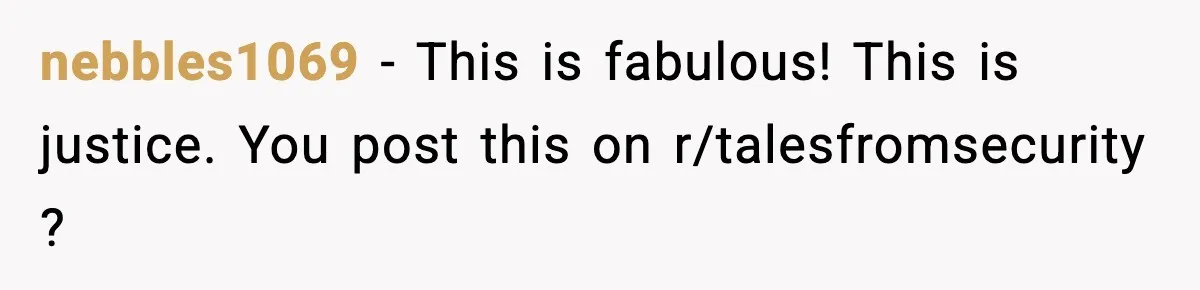 nebbles1069 − This is fabulous! This is justice. You post this on r/talesfromsecurity ?