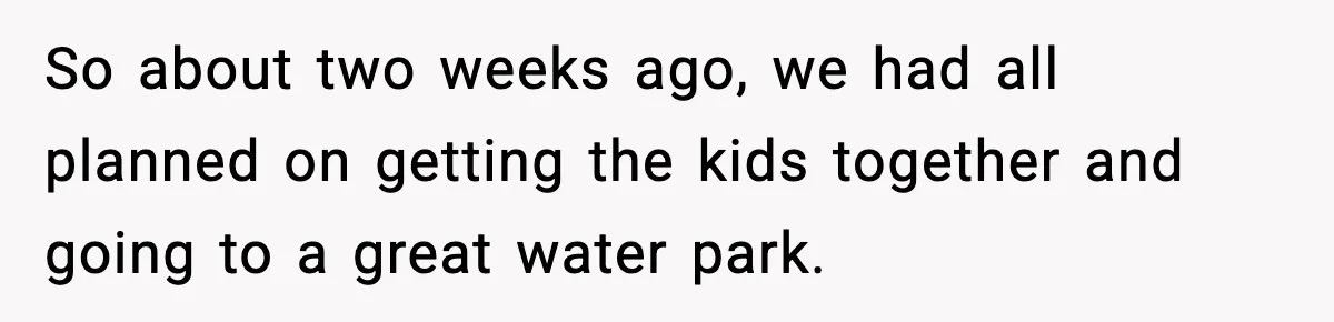 So about two weeks ago, we had all planned on getting the kids together and going to a great water park.