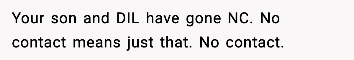 Your son and DIL have gone NC. No contact means just that. No contact.