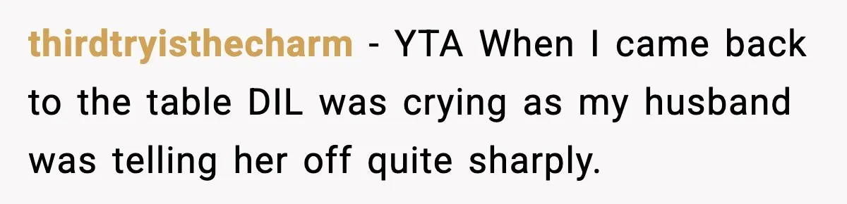 thirdtryisthecharm − YTA When I came back to the table DIL was crying as my husband was telling her off quite sharply.