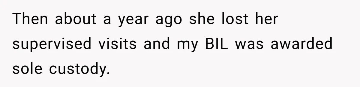 Then about a year ago she lost her supervised visits and my BIL was awarded sole custody.